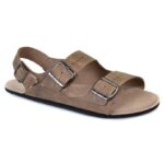 Camino Lite - Image 2